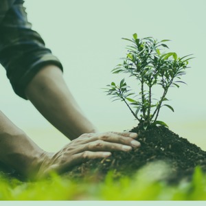 GESTÃO DE NEGÓCIOS EMPRESARIAS NA PG7