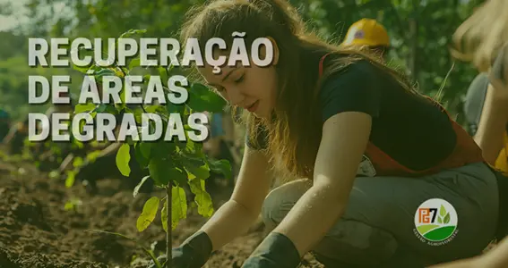 SERVIÇO DE RECUPERAÇÃO DE ÁREAS DEGRADADAS PELA PG7