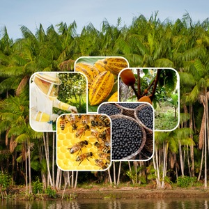 ÁREAS DEGRADADAS PODEM SER RECUPERADAS PELA PG7